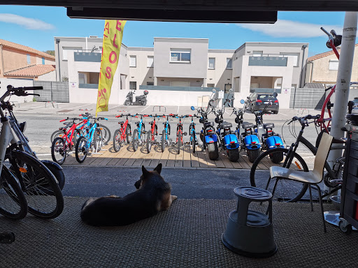 Les vélos de Portiragnes - Thumbnail