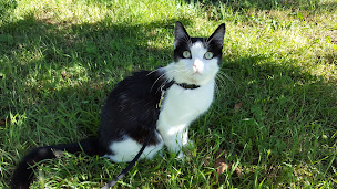Photo n°25 de Le Clos des Oiseaux à Penne-d'Agenais (Terrain pour camping-cars)