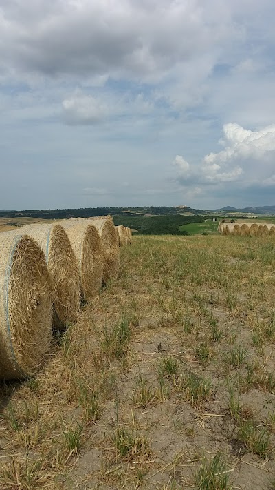 St.Pienza Rodellosso