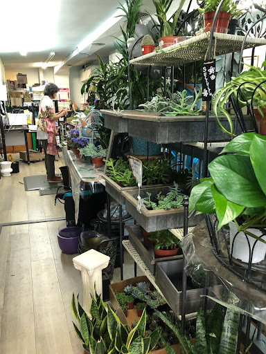 Littleton's Woodlawn Floral - Thumbnail