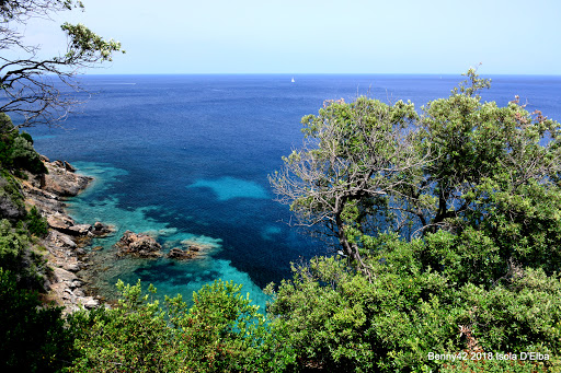 Re Di Noce, Scoglio Della Paolina