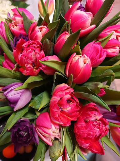 Der Holländer Blumenladen - Thumbnail