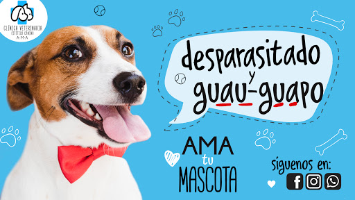 Clínica Veterinaria AMA