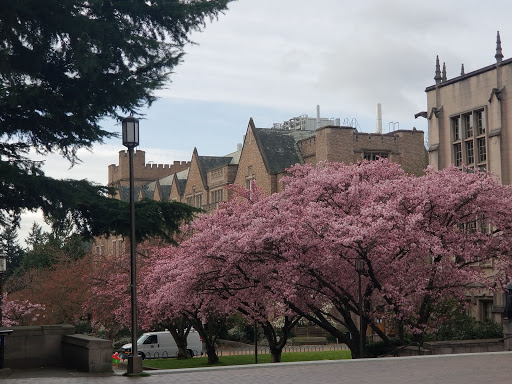 University of Washington College of Engineering - Thumbnail