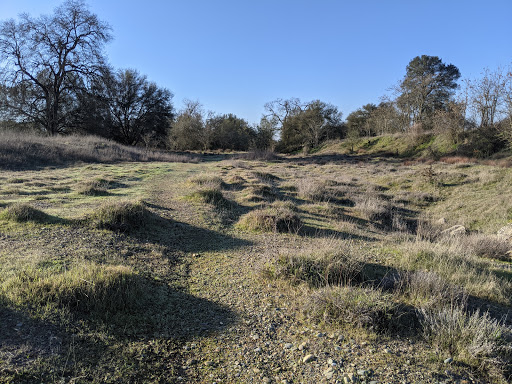 Cordova Recreation and Park District, Park Services - Thumbnail