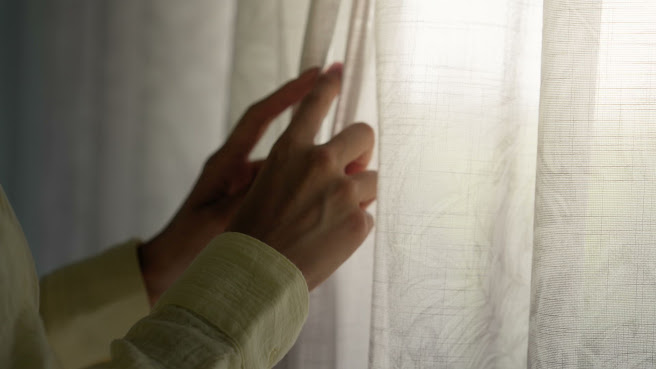 Planter's Shed by null