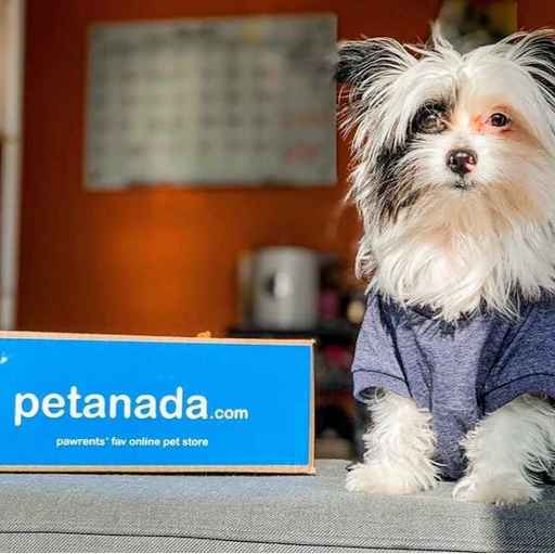 Petanada - Visual