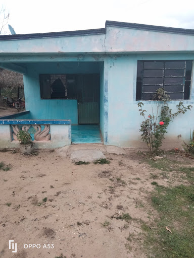 GRANJAS PORCINAS PINKY