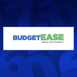 BudgetEase - Visual