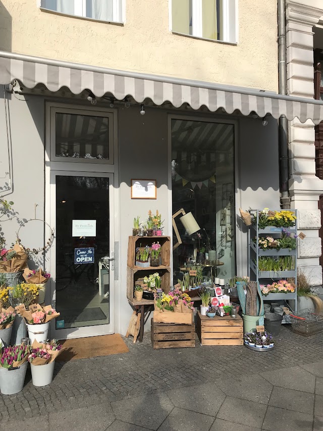 Smunk am Kreuzberg