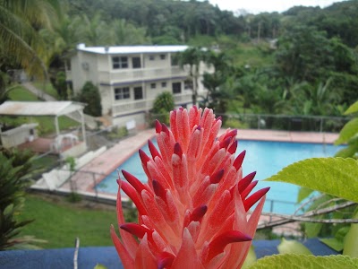 Photos of Hacienda Moyano