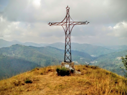 Monte Proventino Logo
