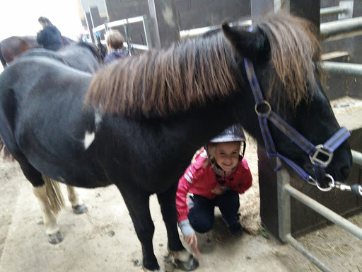 CENTRE EQUESTRE DE BERE - Thumbnail