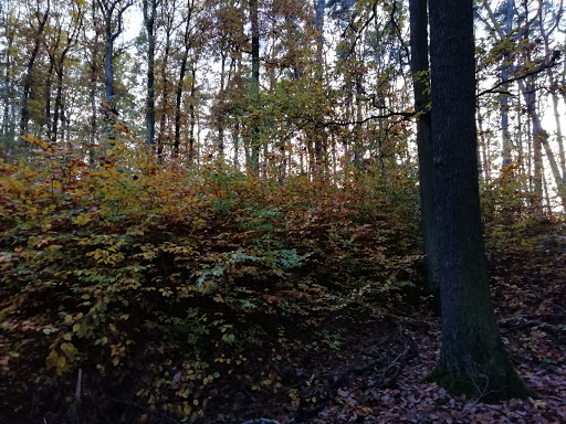 Kellerberg - Visual