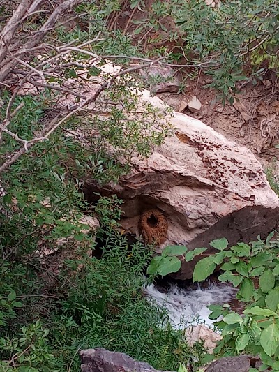 Hellgate Campground