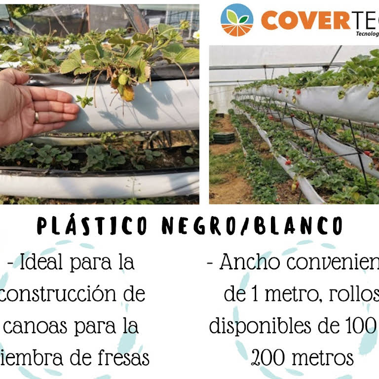 Plásticos para Invernaderos – Covertech