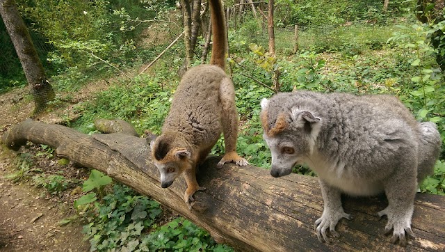 Réserve Zoologique de Calviac