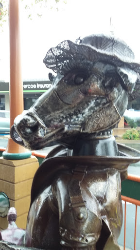 House of Travel - Morrinsville - Thumbnail