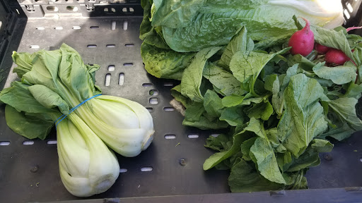 Brewster Farmers' Market - Thumbnail