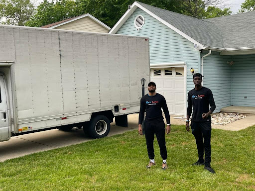 Skylink Movers - Visual