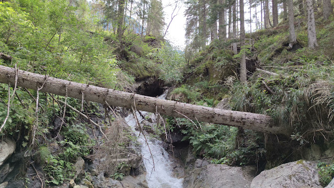 Val di Sole by null