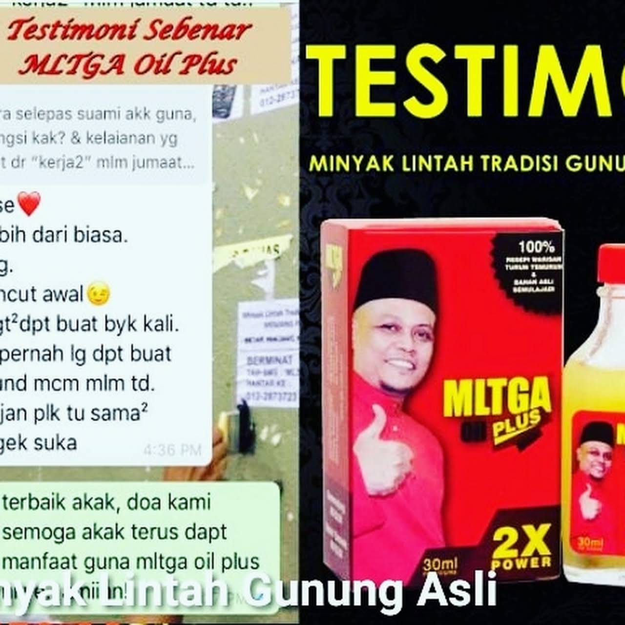 Lintah gunung asli minyak PEMBEKAL MINYAK