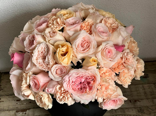 Flores Y Expresiones