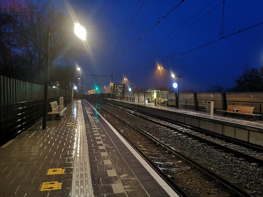 Maarn - Visual