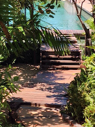 Photo n°18 de Only For You - Travel Designer à Noisy-sur-École (Parc animalier et safari)