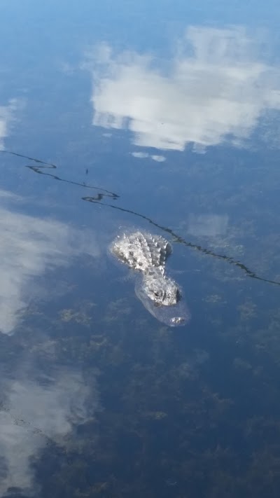 Photos of H.P. Williams Roadside Park