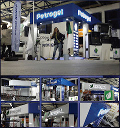 Photo n°27 de TIFINART DESIGN à Marseille (Service d'habillage de véhicules)