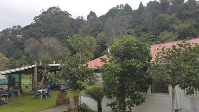 Photos of Whitianga Campground