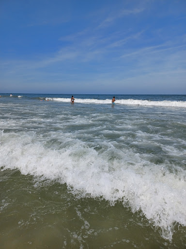 Neptune Beach Water Plant Gallery - United States