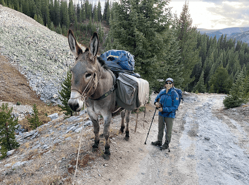 Climax Revival | Backcountry Adventures of Colorado - Thumbnail