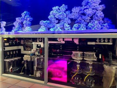 Reliant Aquarium Design Inc.