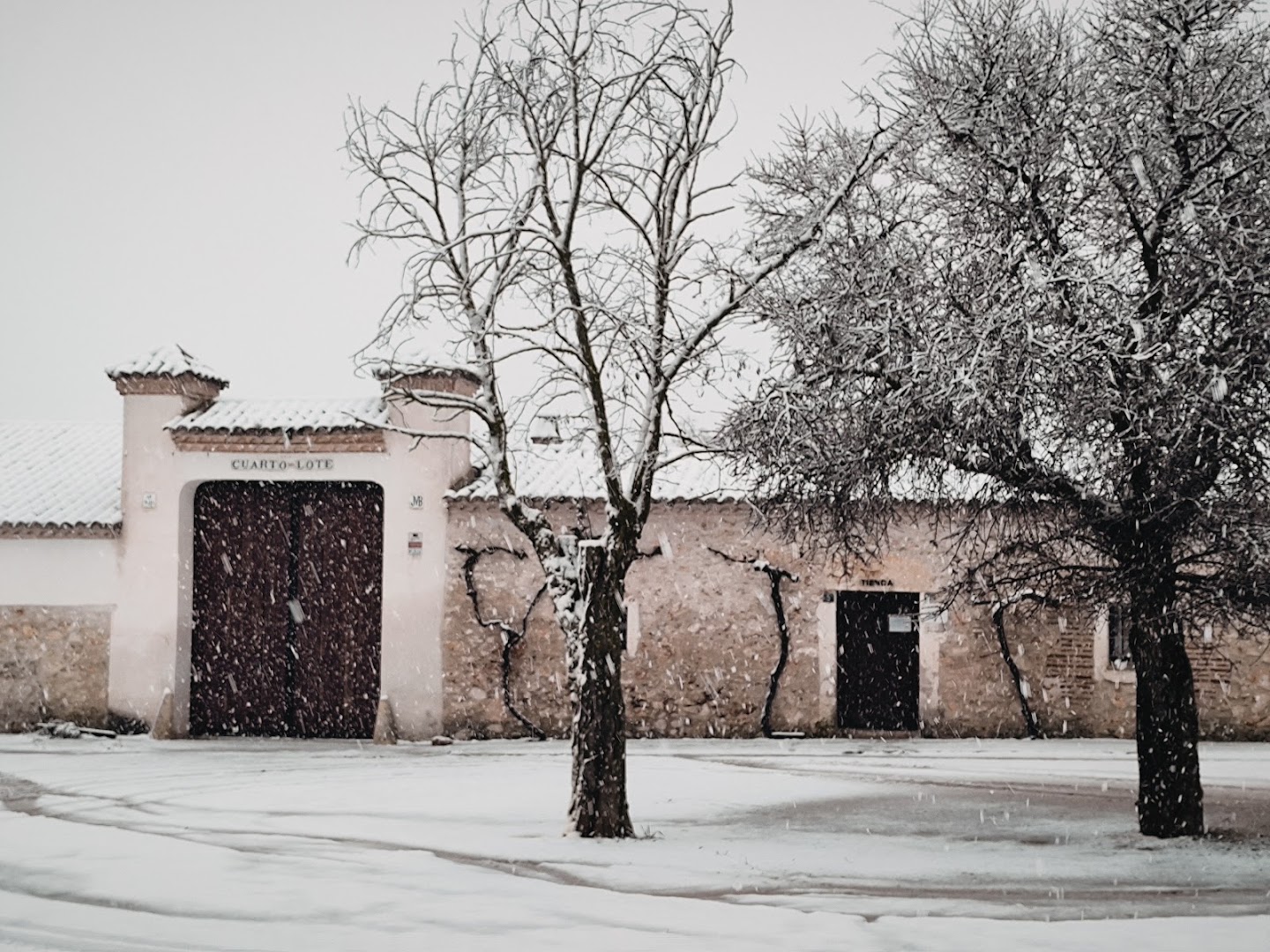Bodega Cuarto Lote