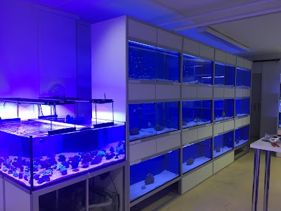 Photos of Korallen-Haus.ch