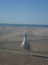 Photo n°18 de Activa Immobilier à Le Havre (Agence immobilière)