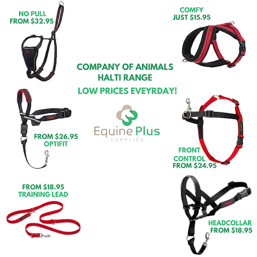 Equine Plus Supplies - Thumbnail