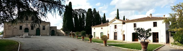 Fèlsina S.P.A.