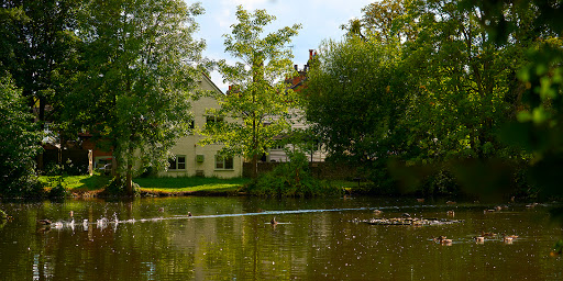 Peacock & Co Solicitors - Epsom - Thumbnail
