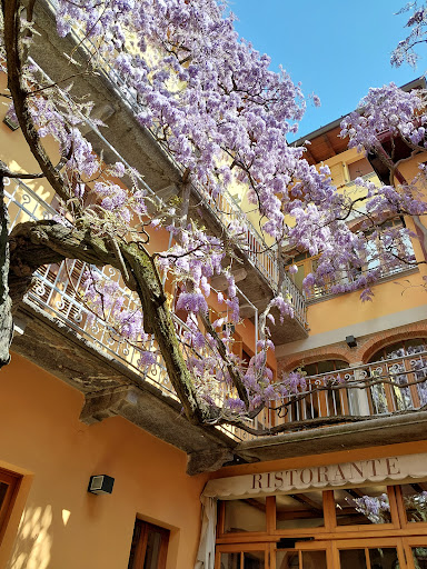 Albergo Ristorante Esposito - Thumbnail