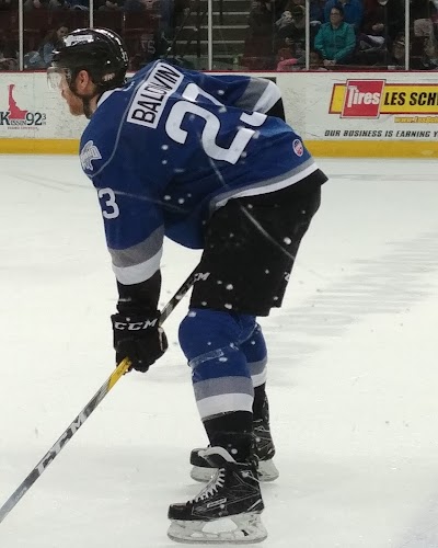 Idaho Steelheads