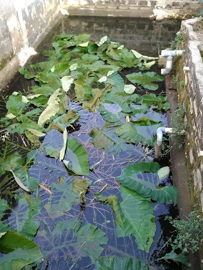 Photos of Perum Bumi Mutiara Indah