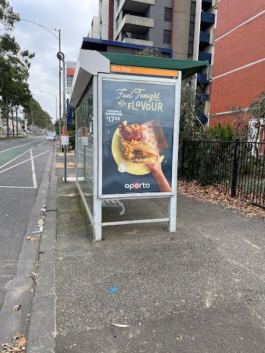 Nicholson St/Elgin St - Thumbnail