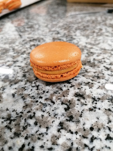 Michel Belin Montplaisir - Albi