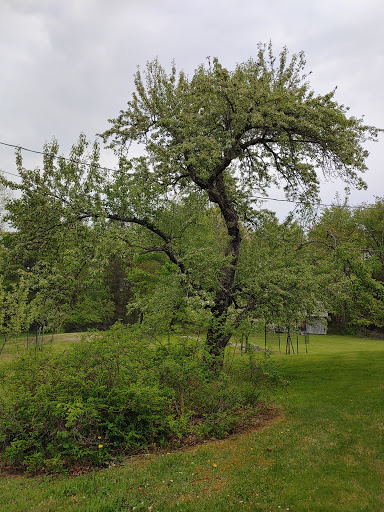 Jonathan Fisher House - Thumbnail