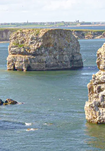 Large Sea Stack - Visual