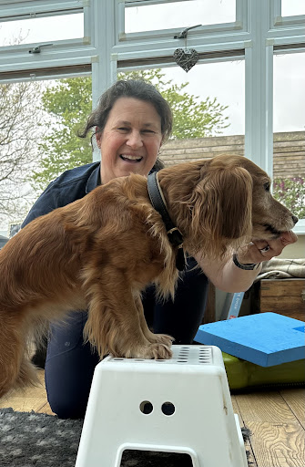 The Lion Clinic (Veterinary Physiotherapist)