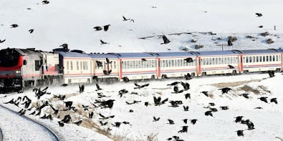 Photos of Erzurum Gar